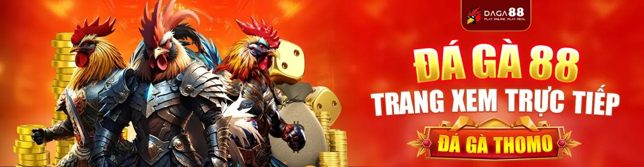 Cá cược trực tiếp các trận đấu đang diễn ra